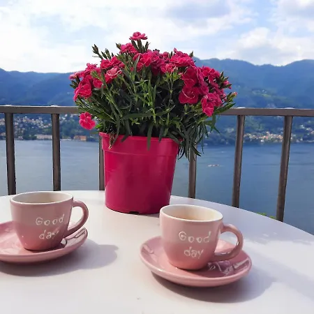 Le Luci Sul Di Daire *